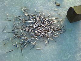 угу, согласен;)