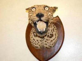 Сказ для маленьких сисадминов