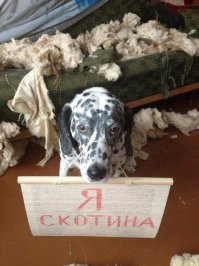 Для любви нет преград 