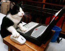 На самом деле, все как-то вот так...