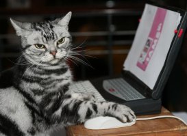 На самом деле, все как-то вот так...