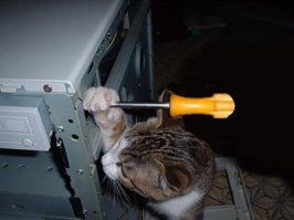 На самом деле, все как-то вот так...