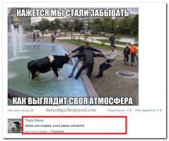 Смешные комментарии из соцсетей