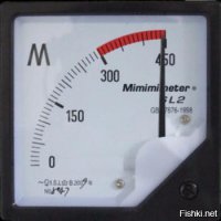 Австралийская овчарка усыновила пять осиротевших детенышей гепарда