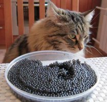 Себе бы искусственной наложила....