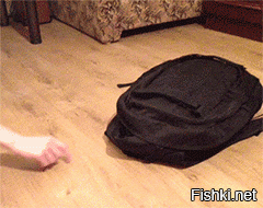 Дом для кота