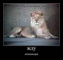 Спасенный лев пришел в бешеный восторг, когда ему вручили пасхальный подарок