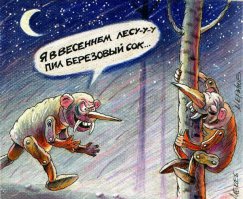 Как собирать березовый сок и чем он полезен 