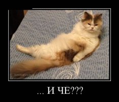 Донбасс поставляет продукты питания в РФ