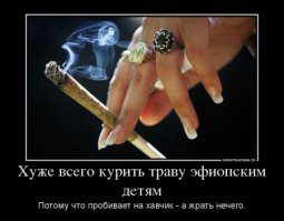 8 полезных трав, которые можно вырастить дома