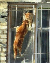 Для любви нет преград 