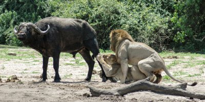 Для любви нет преград 