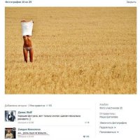 Так-то это овёс, и он уже созрел...
