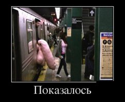 Подборка фотографий, сделанных в нужный момент