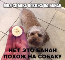 Смешные картинки с надписями 31.03.2016