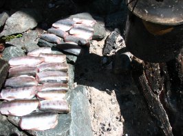 Озеро Кучерлинское - жемчужина Республики Алтай