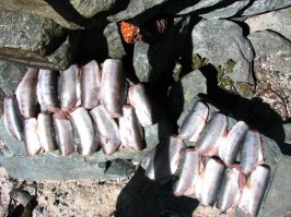 Озеро Кучерлинское - жемчужина Республики Алтай