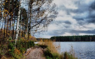 Мне нравится осенью на даче (недалеко от Шлиссельбурга). Именно осенью, когда никого нет и нежарко.