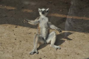 После приземления самолета