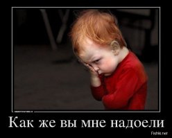 Подборка идиотских фотографий