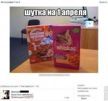 Я почему-то тоже сразу так подумал)) Кот такое есть не будет по-любому.