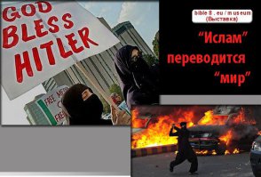 Вот так теперь выглядит освобожденная от ИГ Пальмира