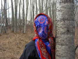 Подборка фотографий, сделанных в нужный момент