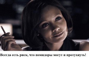 8 полезных трав, которые можно вырастить дома