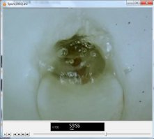 "Spun" c Микки Рурком