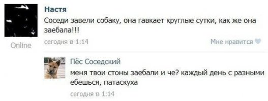 Смешные комментарии и высказывания из социальных сетей 