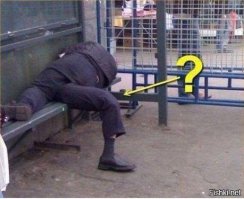 Подборка идиотских фотографий