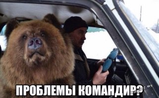 Гифки дня