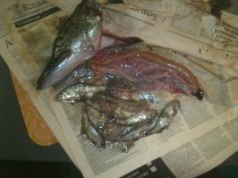 а вот мой улов: