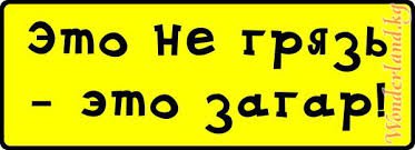 Свежая подборка автоприколов