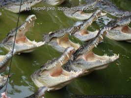 я думаю, тут память особо не нужна.