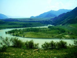 Пытался как то доехать до Тюнгура по навигатору) пару лет назад. Он уверенно вёл меня прямо по чуйскому, хотя надо было на Усть Коксу сворачивать, как потом выяснилось. Потом, когда до места назначения по его данным оставалось километров 30 он наконец то сказал "направо". К этому моменту уже стемнело и справа была грунтовая дорога круто уходящая вниз, где в темноте шумела Катунь. Съехали. Проехали по скрипящему подвесному мосту и дальше поехали по такой же "дороге" шириной в один автомобиль вверх. Слева обрыв, справа скала). Въехали в какую то деревню. Ночь. Пусто. Темнота. В свете фар ржавые кузова машин какие то. Жена стала роптать. Навигатор начал путаться в показаниях и направлениях, но оптимистично показывал до цели уже около 20 км. Проехали деревню, просёлочная дорога уходила куда то в поле в темноту, потом стала разветвляться и становиться все менее различимой в траве. Было принято решение вернуться в деревню. Там было по прежнему пусто, темно и зловеще. И тут я увидел уазик-таблетку в котором горел свет. Внутри оказались мужики в камуфляже которые пили водку и немало удивись когда я к ним заглянул. Спросил у них как доехать до Тюнгура. Те переглянулись и спросили - по навигатору едешь?. Если тебе прям сильно туда надо, оставляй машину и иди пешком. К утру придёшь. Тут километров 20 (навител не врал). А ещё лучше ночуй здесь. Как выяснилось, прямую дорогу через перевал строили ещё в 50х и даже пробили, но госкомиссия её не приняла, как опасную, но на некоторые карты она попала. По словам людей из УАЗика, даже они на таблетке там проехать не смогут. В деревне только не вставай и с местными не разговаривай, предупредили. Перед деревней есть поляна для туриков езжай туда. И после этого налили мне полстакана водки. Жизнь стала налаживаться. Вернулся в машину. Объяснил супруге ситуацию. Доехали до поляны. На ней в темноте обнаружилась пара машин туристов, которые заняли единственные два домика. Встали рядом. Переночевали в машине. Утром встали - красотища.  Пофотографировали места где ночью ехали. Очень люблю Горный. Этим летом снова поедем).