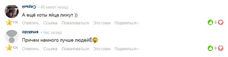 Да вы сговорились