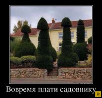 Позитивная  подборка демотиваторов