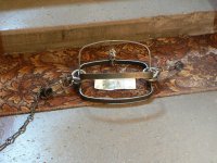 Я бы рискнул.