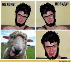 Альпака родилась намного раньше срока, но выжила и выросла настоящей модницей