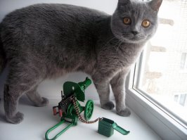 Легендарное оружие: пулемёт Максим