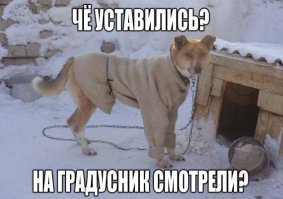 Смешные картинки с надписями