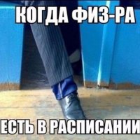 Смешные картинки с надписями