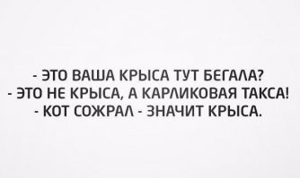 Смешные картинки с надписями