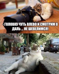 Смешные картинки с надписями