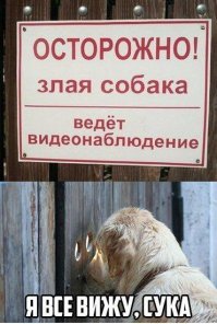 Смешные картинки с надписями
