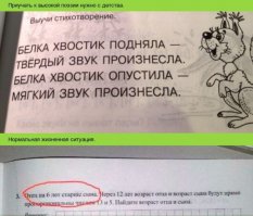 Смешные картинки с надписями