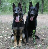 Как я жену поздравил с 1 апреля