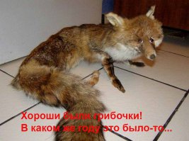 Ал Билек - человек видевший будущее