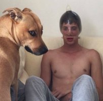 Собак всё сказал взглядом!